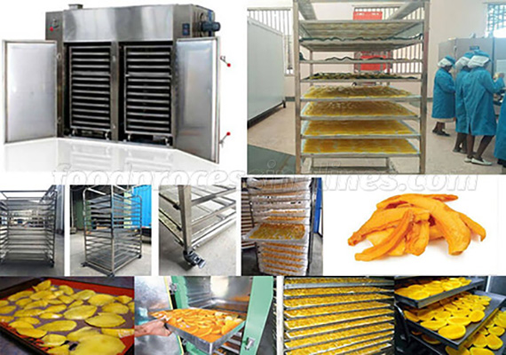 mango chips processing line