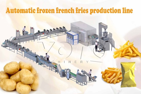 frozen french fries making place